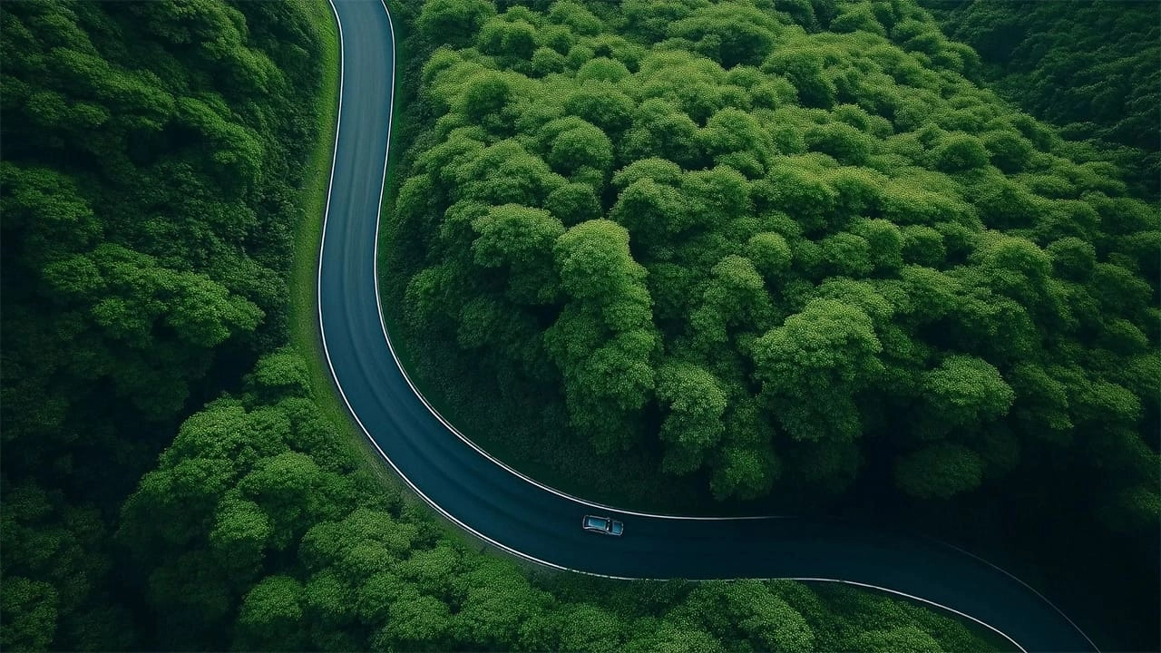 Forestry Survey - alphageo